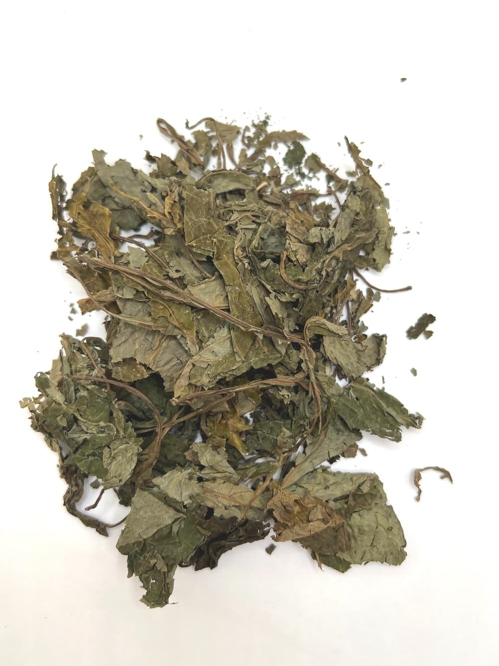 Salvia Divinorum